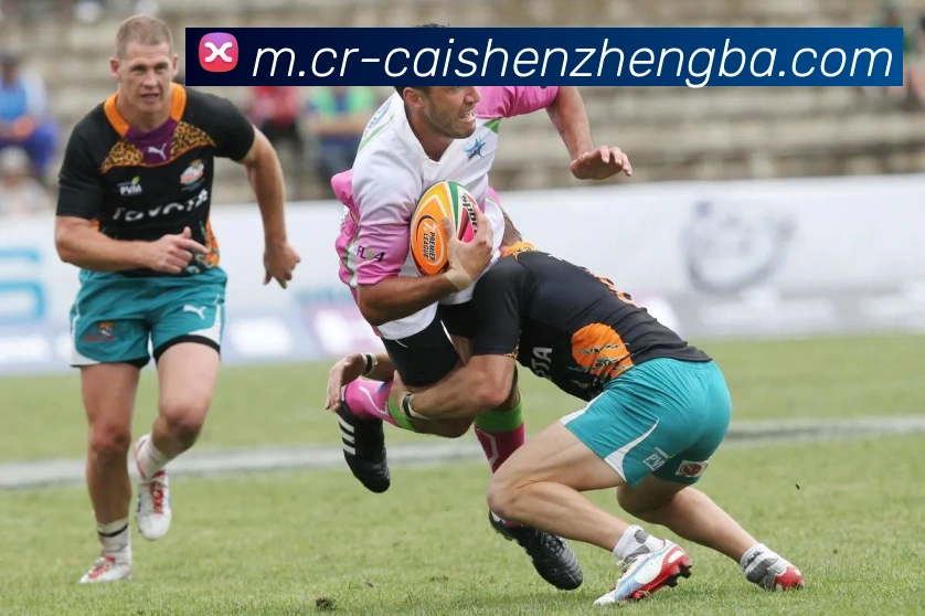 彩神争霸平台生态图